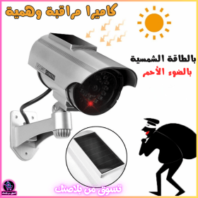 🔥Fausse Caméras de Vidéosurveillance à énergie Solaire avec Cliignotant Rouge LED